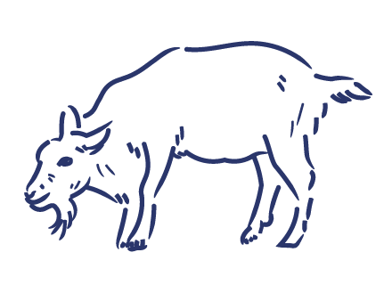 ｜CREATIVE THINKING｜GREAT ENGINEERING KNOWHOW｜自由な発想と高度な技術でモノづくりの枠を超える技術集団オオヤギ製作所｜