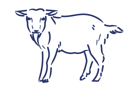 ｜CREATIVE THINKING｜GREAT ENGINEERING KNOWHOW｜自由な発想と高度な技術でモノづくりの枠を超える技術集団オオヤギ製作所｜