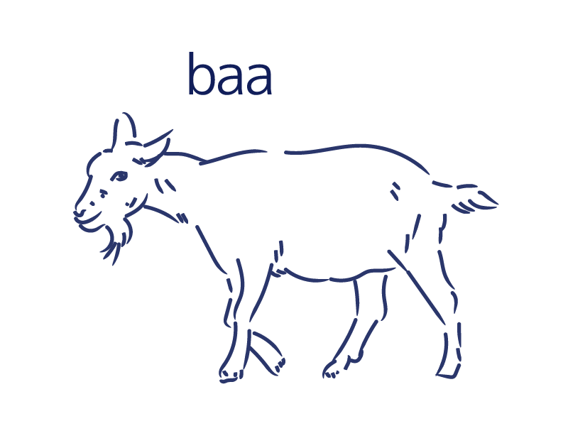 baa